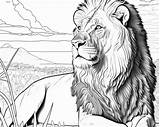 Lion Coloring Page sketch template