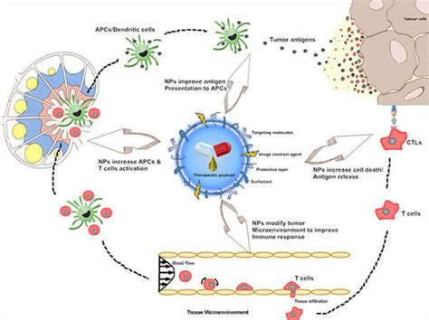 Nanoparticles In Cancer Treatment - Captions Pages