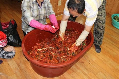 What Causes Kimchi to Ferment? - Home Kitchen Talk