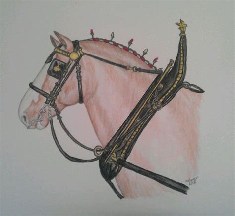 Clydesdale sketch. Pencil and watercolor pencil by K. Meyer #drawing # ...