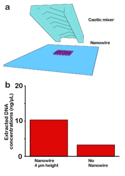 (a) Schematic illustration of the nanowire device including nanowire... | Download Scientific ...