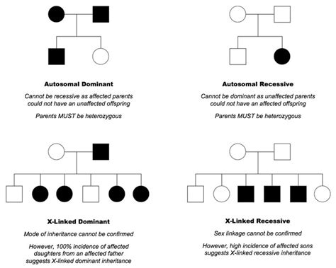 Solving Pedigree Analysis in 3 steps | Epomedicine