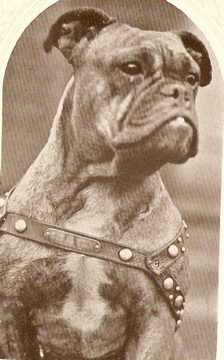 Vintage Irvington: Butler Bulldog Mascot Began in Irvington