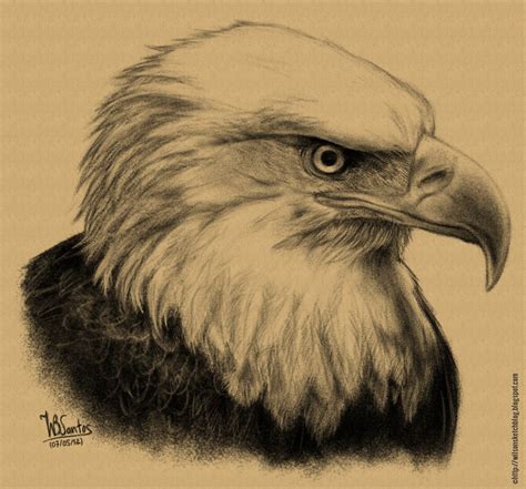 Eagle Drawing Pencil at GetDrawings | Free download