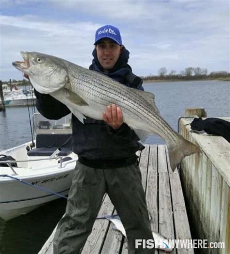 Diamond Valley Lake Fishing Charters & Guides | FishAnywhere