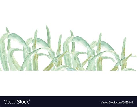 Watercolor green grass Royalty Free Vector Image