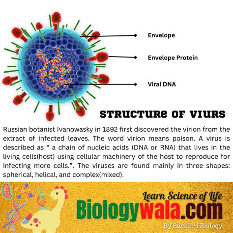 Virus: Structure, Types, Classification And Diseases - Biologywala.com ...