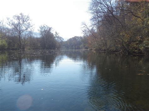 north fork shenandoah river Archives - Fly Fishing Blog - The View From Harrys Window