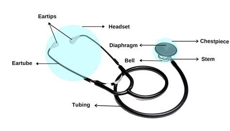 Parts of Stethoscope: A Comprehensive Overview