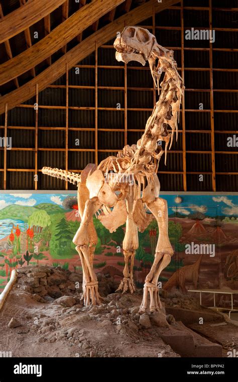 Malawisaurus, museum, Karonga, Malawi Stock Photo - Alamy