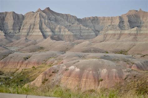 Badlands National Park Animals: Best Tips to See - Dinkum Tribe