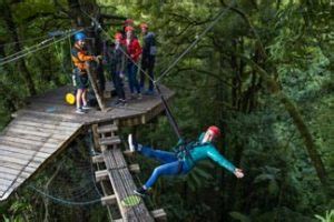 Rotorua Zipline Canopy Adventure Eco Forest Tours