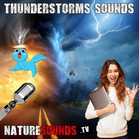 Stream Nature Sounds TV | Listen to Thunderstorm Sounds playlist online ...