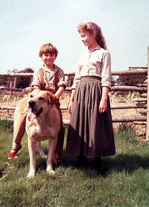 Old Yeller - Behind the Scenes - Spike, Kevin Corcoran and Beverly Washburn - Old Yeller Photo ...