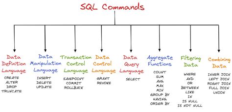 AlgoDaily - Useful SQL Commands with Examples