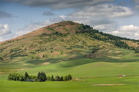 Steptoe Butte State Park. stock photo. Image of painterly - 153242080