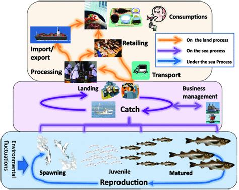 Towards integrated research in fisheries science | SpringerLink