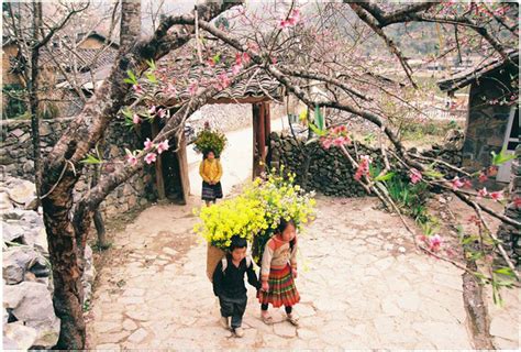 Đi đâu thì đi nhưng đừng quên Tây Bắc mùa xuân, hoa đang gọi - Cục Du lịch Quốc Gia Việt Nam