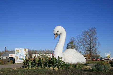 Swan River, Manitoba - where I've lived since 1994! in 2019 | Discover canada, Canada travel ...