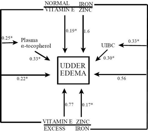 Prevention of Udder Edema in Dairy Cows – DAIReXNET