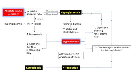 Diabetic Ketoacidosis: A Current Appraisal Of, 57% OFF