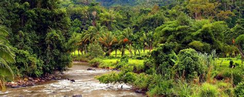 Bukit Barisan Selatan National Park - Sumatra - Indonesia