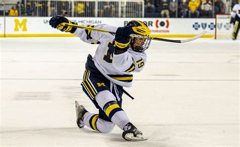 Two Michigan hockey players named to USA Olympic roster - mlive.com