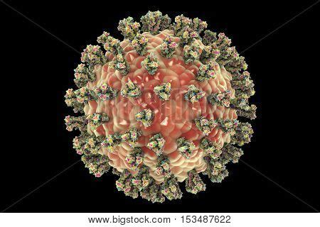 Parainfluenza Virus Image & Photo (Free Trial) | Bigstock