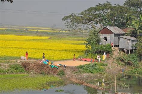 bangladesh rural - Google Search | Country roads, Incredible india, Outdoor