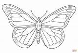 Monarch butterfly coloring pages Download And Print For Free sketch template