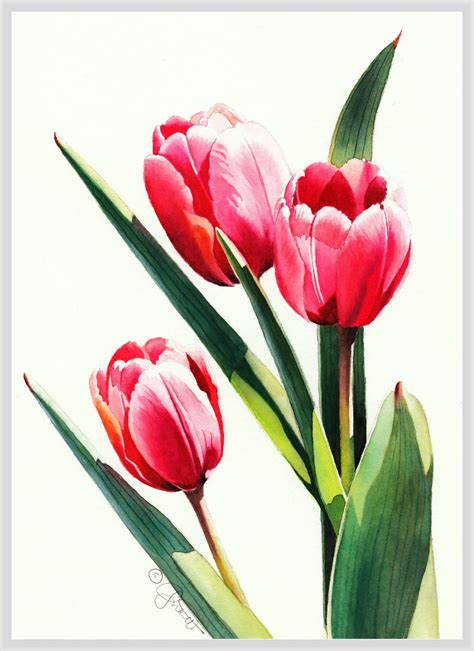 Contemporary Realism | Flower art, Tulip painting, Floral watercolor