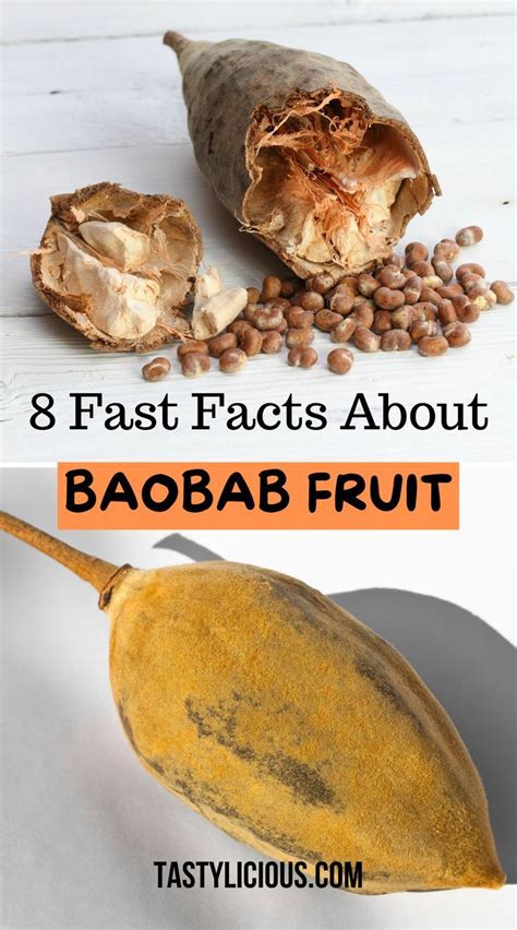 8 Fast Facts About Baobab Fruit | Tastylicious! | Fruit benefits, Healthy juicer recipes, Fruit ...