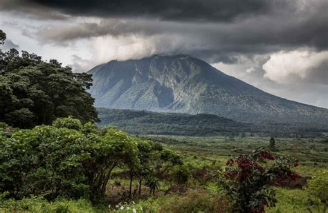 | Volcanoes National Park Rwanda