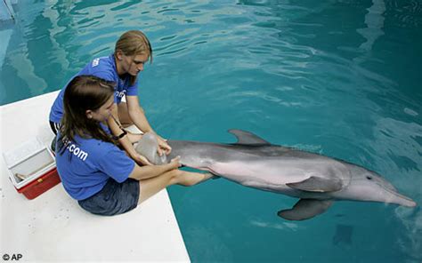 Winter - Dolphin Tale Photo (25600530) - Fanpop