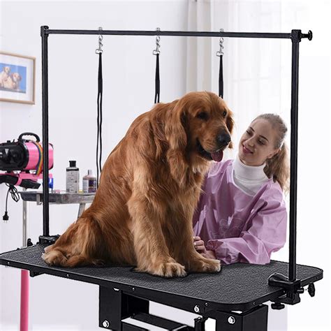 Heavy Duty Z-lift hydraulic pet dog grooming table for large dogs with clamb/arm | eBay