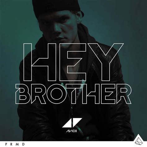 Avicii - Hey Brother (Lyric) - LYRICSD