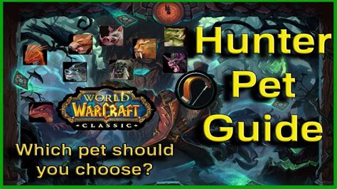 Perfect Tips About How To Get A Pet As Hunter - Datefaith21