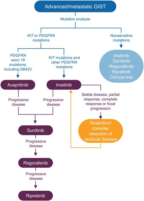 Treatment algorithm for the use of approved TKIs for the management of ...