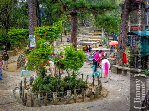 Baguio: Mines View Park - Traveling by default.