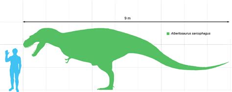 Caçando Dinossauros