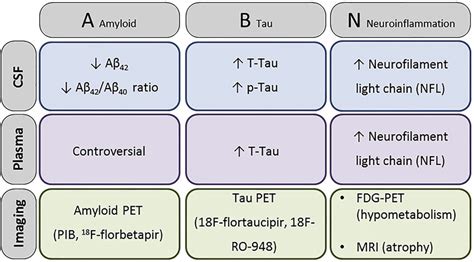 The AT(N) (amyloid-Tau-neurodegeneration) classification define “A”... | Download Scientific Diagram