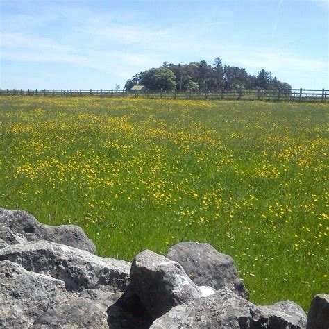 Fields of Athenry taken by Demara McCarthy | Natural landmarks, Photo ...