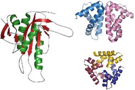 Structures of M. tuberculosis class III adenyl cyclase (1yk9) and two... | Download Scientific ...