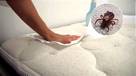 How to Remove Dust Mites from a Mattress - YouTube