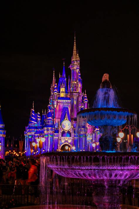 Disney World Orlando Planning Guide - Life of a Passion