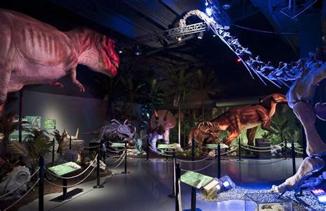 New dinosaur attraction coming to I-Drive, Artegon retailer preps for move - GrowthSpotter