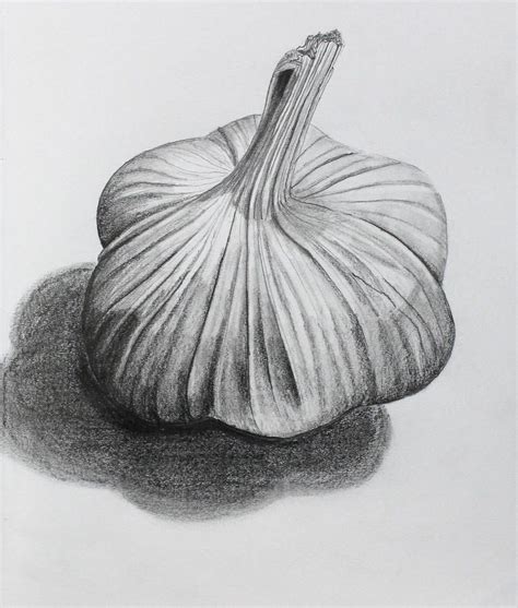 Garlic by eekxpo Fruit Art Drawings, Fruits Drawing, Pencil Art Drawings, Realistic Drawings ...