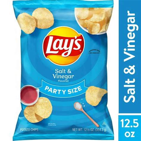 Lay's Salt and Vinegar (1 bag)