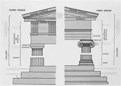 AP Art History Doric and Ionic Orders Diagram | Quizlet