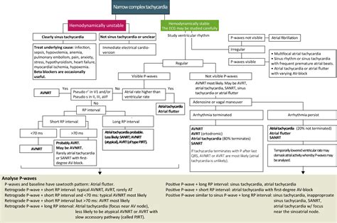 Diagnosis and management of narrow and wide complex tachycardia – ECG learning